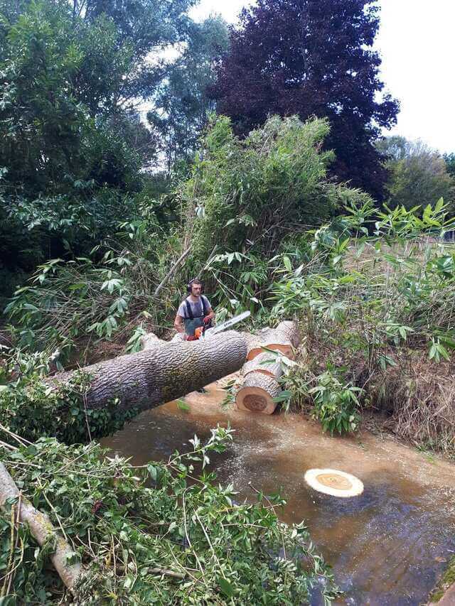 Représentation de l'abattage d'un arbre.